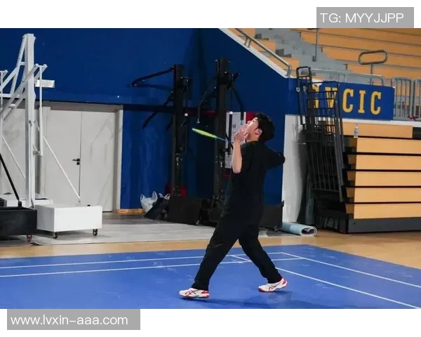 羽毛球之路：西安羽毛球队奋斗与辉煌的真实记录与回顾